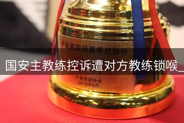 国安主教练控诉遭对方教练锁喉 称赛场冲突令人遗憾
